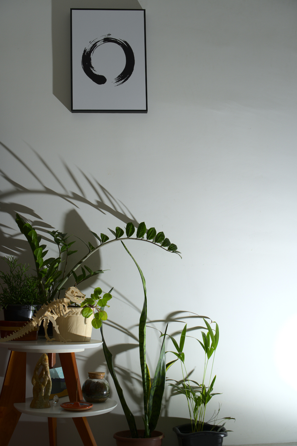 plantas e um quadro com um círculo