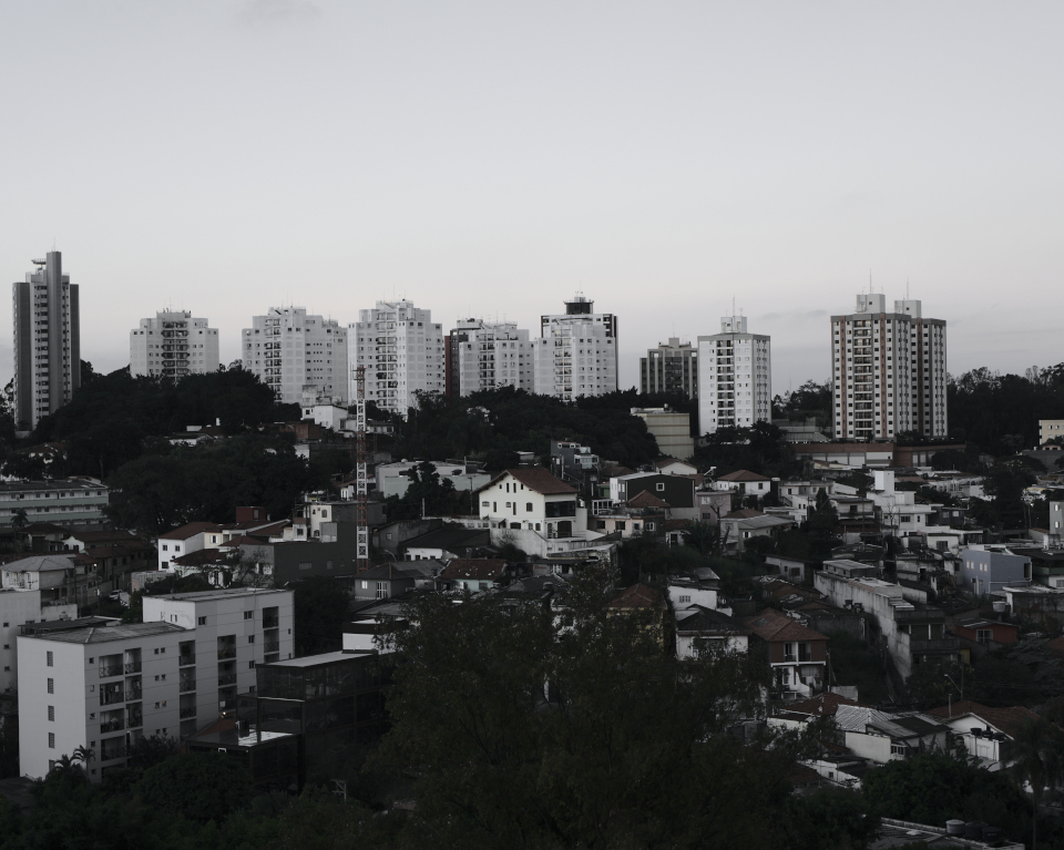 Paisagem em preto e branco. Linha de prédios ao fundo e uma árvore próxima.