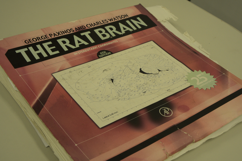 Livro: The Rat Brain.