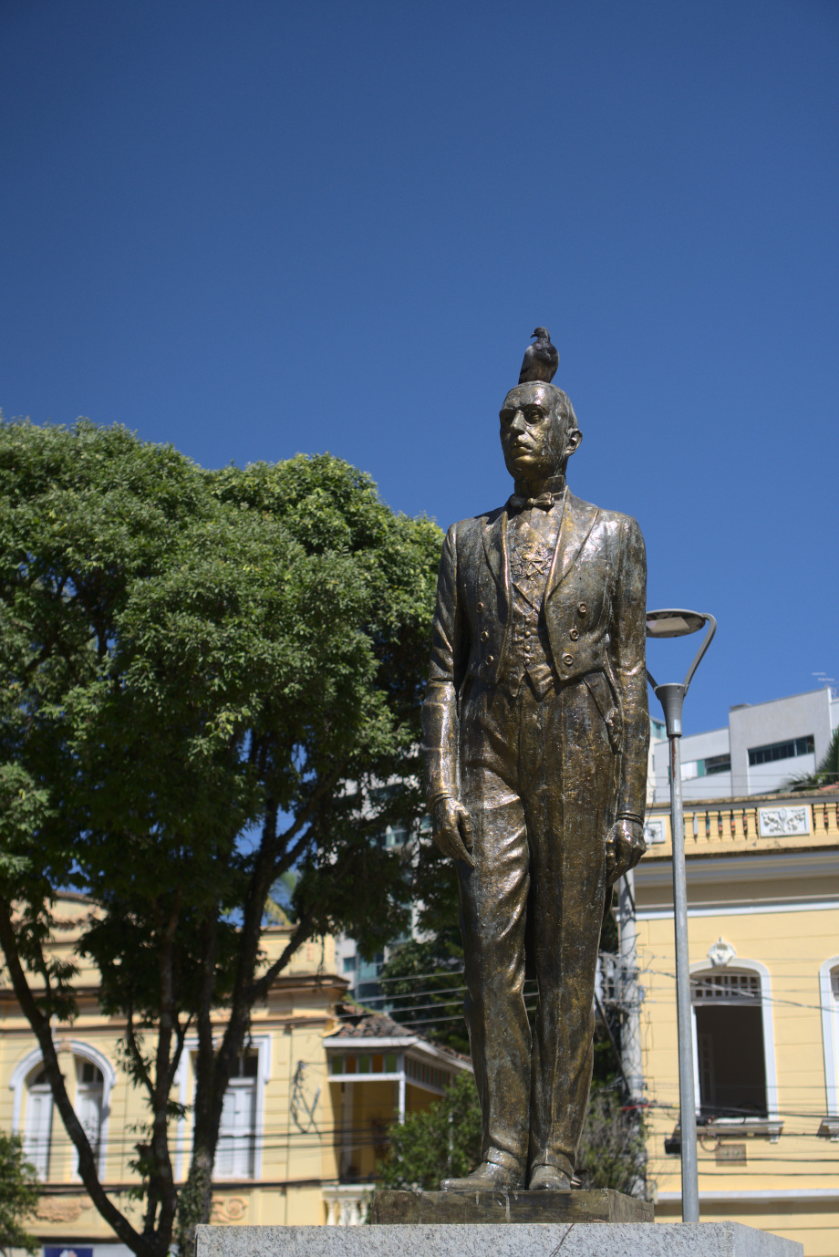 Estátua de corpo inteiro com pombo pousado na cabeça.